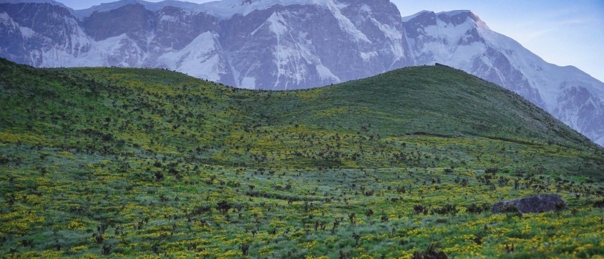 Kori Danda trek via Kapuche Lake